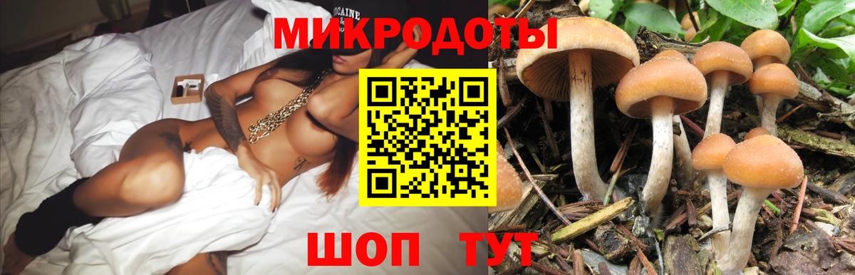 Галлюциногенные грибы Cubensis  Вход с VPN  Рыбинск 
